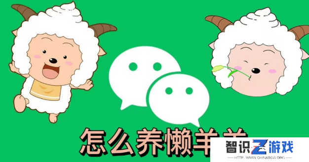 微信状态怎么养懒羊羊