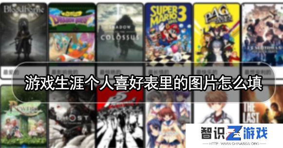 游戏生涯个人喜好表怎么写