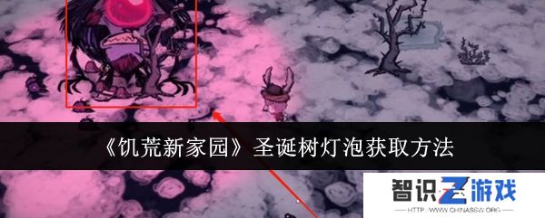 饥荒新家园圣诞树灯泡在哪里 新家园圣诞树灯泡如何获取[多图]图片1