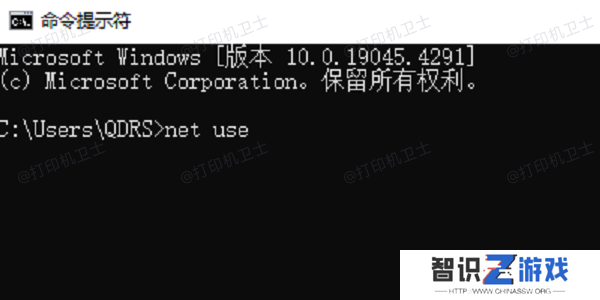 使用命令提示符查询