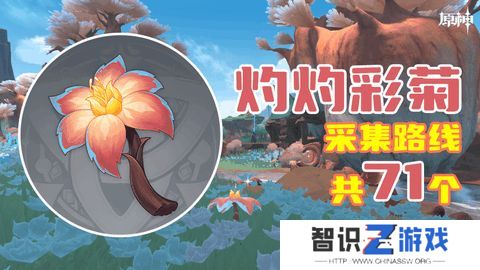 原神灼灼彩菊最新收集位置大全 71个灼灼彩菊在哪里[多图]图片1