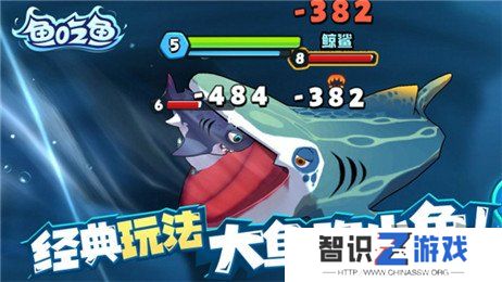 鱼吃鱼兑换码2024最新分享 鱼吃鱼兑换码大全
