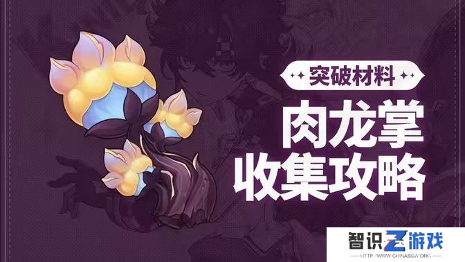 原神肉龙掌采集路线大全 最新96个肉龙掌材料收集汇总[多图]图片1