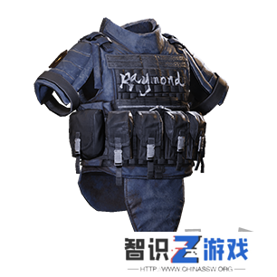 萤火突击雷蒙德夜狼涂装护甲防具一览 萤火突击雷蒙德夜狼涂装护甲防具分享