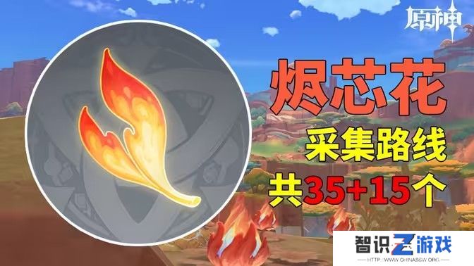 原神烬芯花采集路线 烬芯花在哪里可以采集[多图]图片1