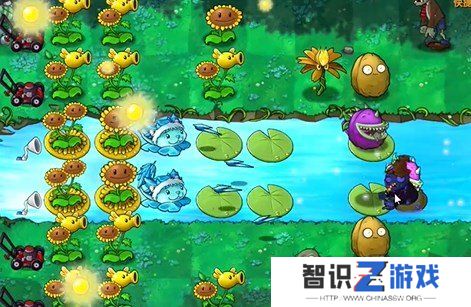 植物大战僵尸融合版冒险模式19关怎么过 植物大战僵尸融合版冒险模式19关通关教程