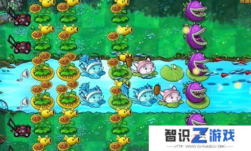 植物大战僵尸融合版冒险模式19关怎么过 植物大战僵尸融合版冒险模式19关通关教程
