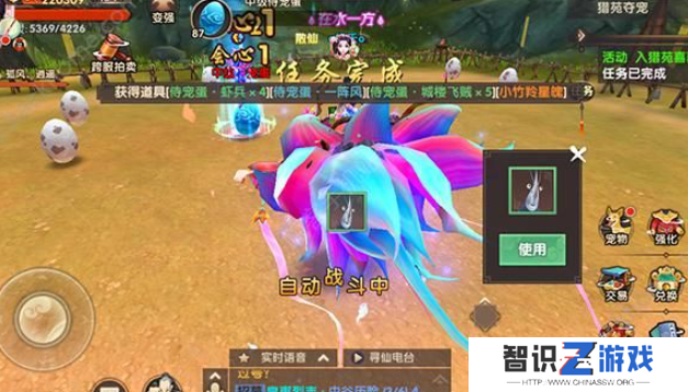 寻仙手游侍宠如何获得 侍宠获取方法有哪些[多图]图片3