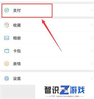 pp视频