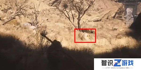 黑神话悟空六颗佛珠怎么获得 黑神话悟空六颗佛珠获取方法分享