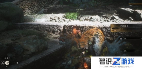 黑神话悟空虎筋条子在什么位置 虎筋条子位置分享