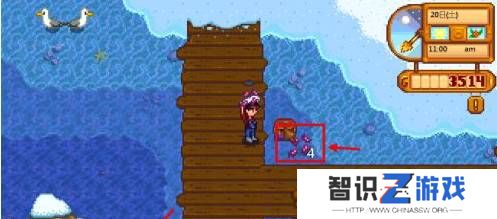 《星露谷物语》蟹笼放诱饵方法