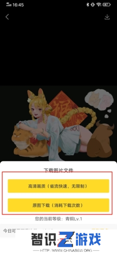 触站app17