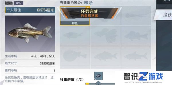 444.jpg