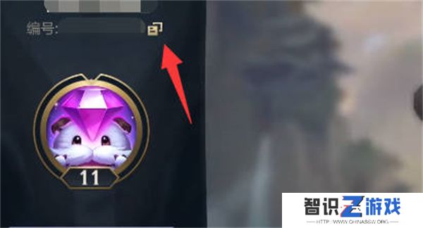 英雄联盟手游1.jpg