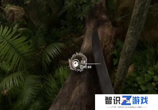 《绿色地狱》生火方法