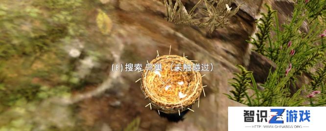 《七日杀》羽毛收集方法