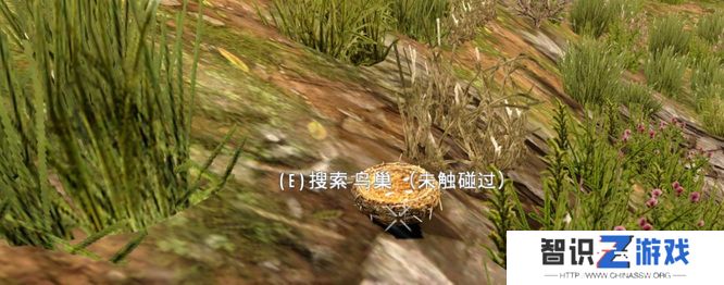 《七日杀》羽毛收集方法