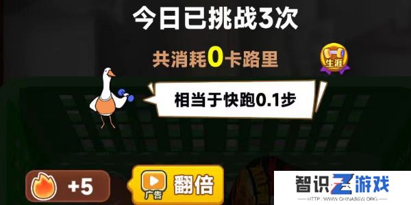 抓大鹅每天能抓几只