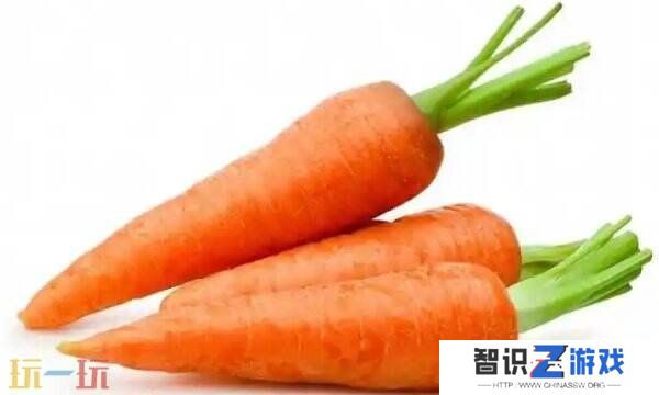 头伏萝卜二伏芥里的是什么萝卜 蚂蚁庄园11月22日答案