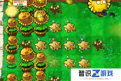 植物大战僵尸杂交版迷你游戏土星通关攻略  植物大战僵尸杂交版通关玩法