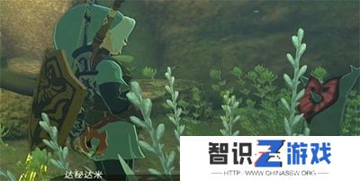 塞尔达传说王国之泪漂亮的石头与金苹果怎么做