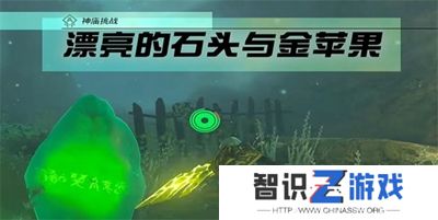 塞尔达传说王国之泪漂亮的石头与金苹果怎么做