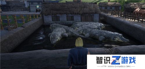 把家变成动物园？《帝国神话》国服驯养动物