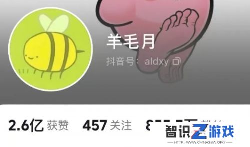 网红博主羊毛月一夜掉粉22万，嘲讽00后找不到工作，网友：何不食肉糜