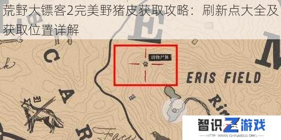 荒野大镖客2完美野猪皮获取攻略：刷新点大全及获取位置详解