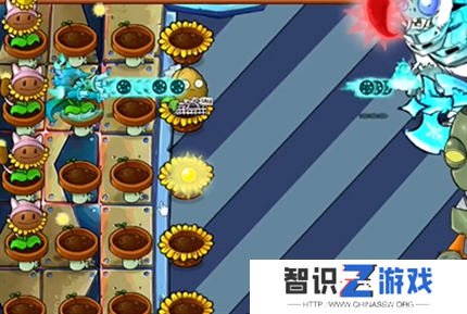 pvz杂交版英雄模式迷你的行尸走肉通关详解