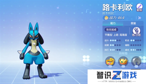 宝可梦大集结路卡利欧持有物选什么