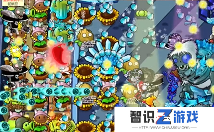 pvz杂交版英雄模式迷你的行尸走肉通关详解