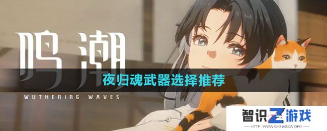 《鸣潮》夜归魂武器选择推荐