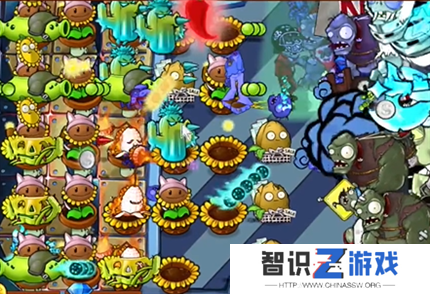 pvz杂交版英雄模式迷你的行尸走肉通关详解
