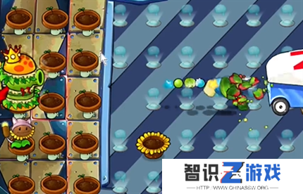 pvz杂交版英雄模式全息大脑的秘密过关攻略