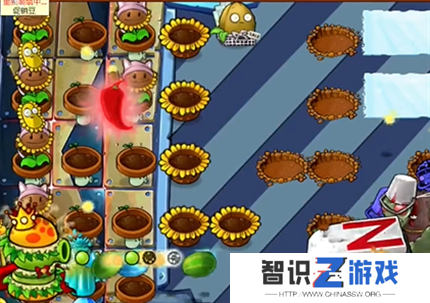 pvz杂交版英雄模式全息大脑的秘密过关攻略