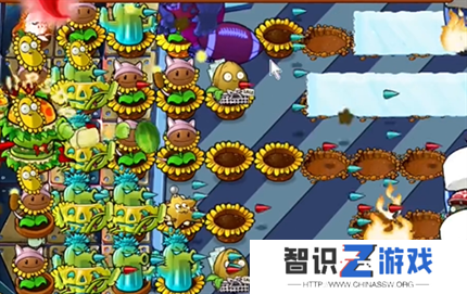 pvz杂交版英雄模式全息大脑的秘密过关攻略