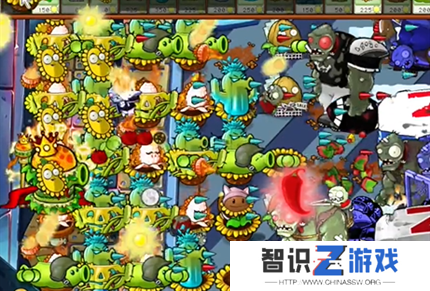 pvz杂交版英雄模式全息大脑的秘密过关攻略