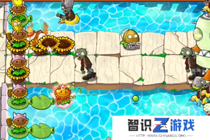 pvz杂交版英雄模式埃德加二世过关攻略