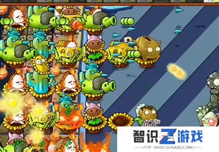 pvz杂交版英雄模式终极计划通关详解