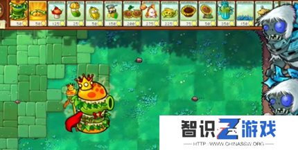 pvz杂交版英雄模式疯狂星期四通关详解