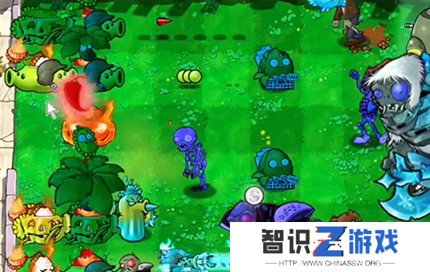 pvz杂交版英雄模式狼狈为奸过关攻略