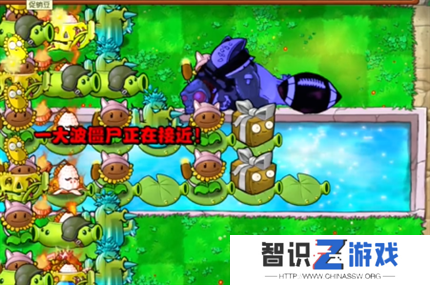 pvz杂交版英雄模式戴夫的威胁通关详解
