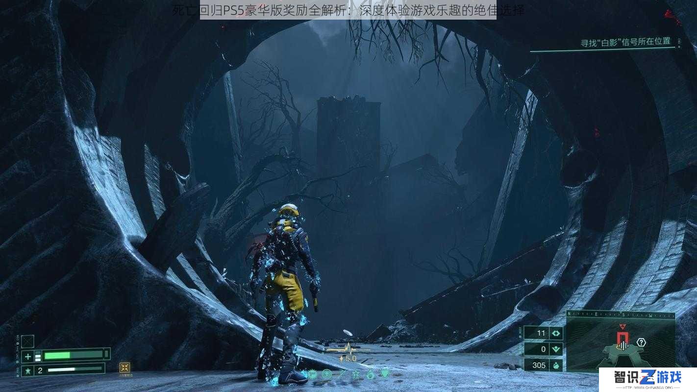 死亡回归PS5豪华版奖励全解析：深度体验游戏乐趣的绝佳选择
