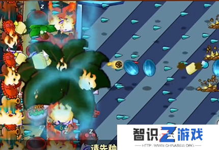 pvz杂交版英雄模式爆炸装置通关详解