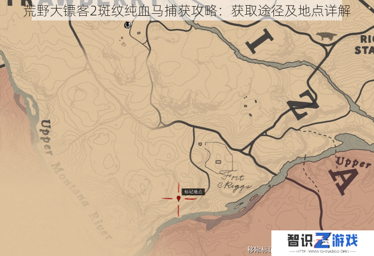 荒野大镖客2斑纹纯血马捕获攻略：获取途径及地点详解