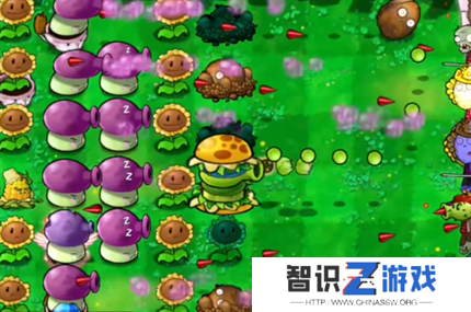 PVZ杂交版英雄模式公主驾到通关详解