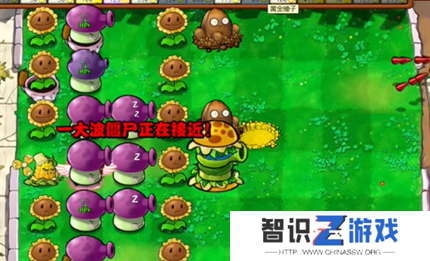 PVZ杂交版英雄模式公主驾到通关详解