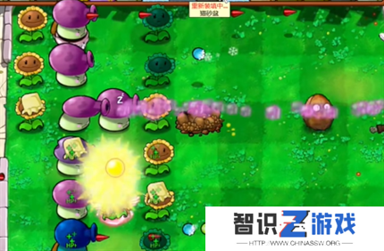 PVZ杂交版英雄模式公主驾到通关详解